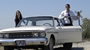 still37